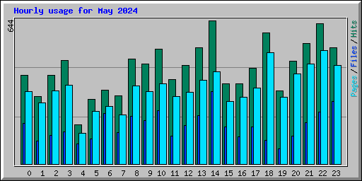 Hourly usage for May 2024