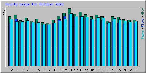Hourly usage for October 2025