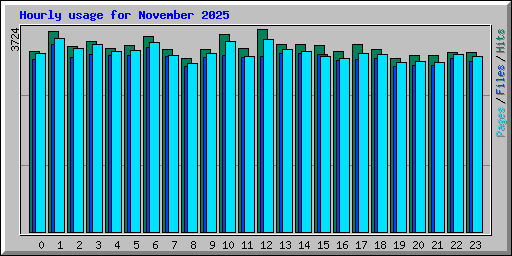 Hourly usage for November 2025